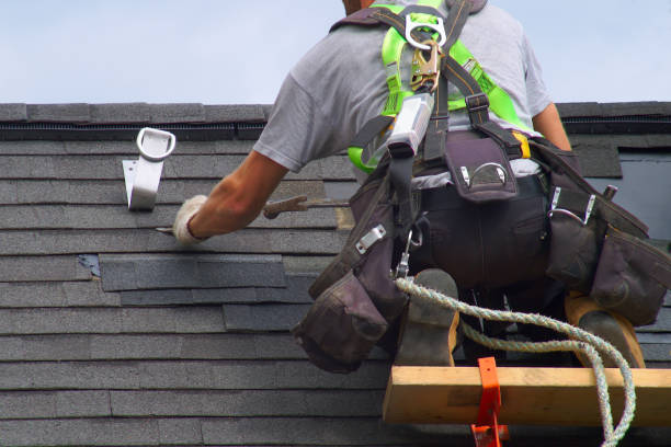 Best Flat Roof Repair Services  in Beach Haven West, NJ
