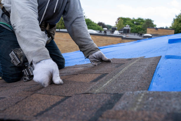 Quick and Trustworthy Emergency Roof Repair Services in Beach Haven West, NJ